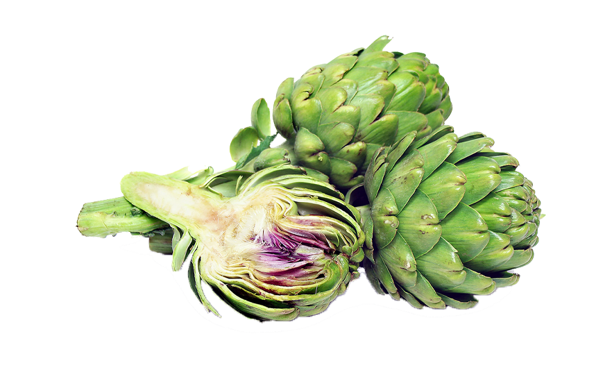 Artichokes Fresh