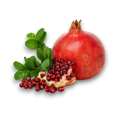 Pomegranate Fresh