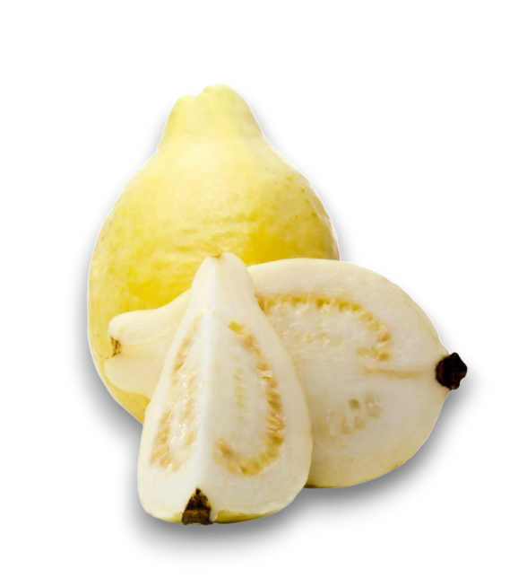 Guavas Fresh