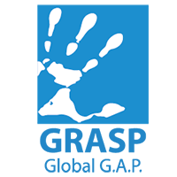 GRASP Certification