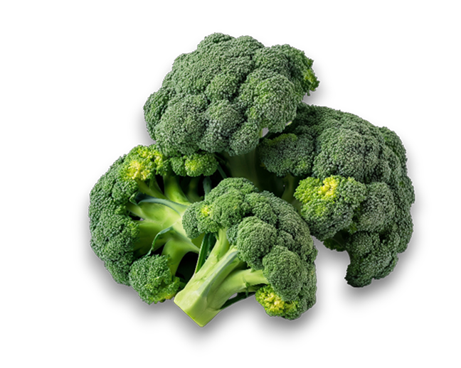 Broccoli Fresh
