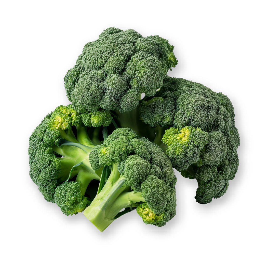 Broccoli